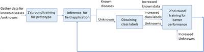 Detection of unknown strawberry diseases based on OpenMatch and two-head network for continual learning